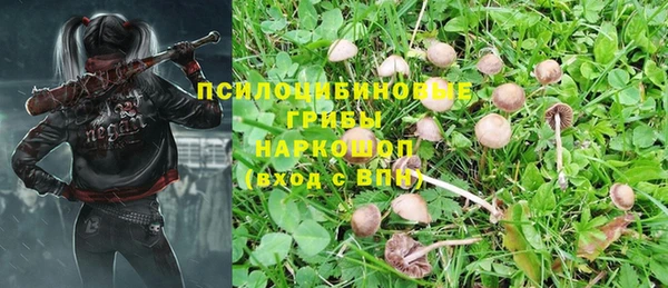 ALPHA PVP Армянск