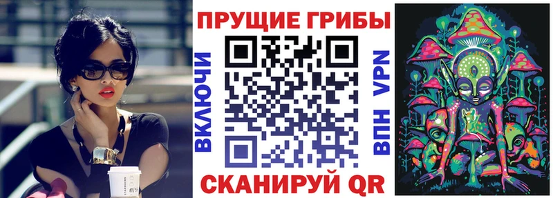 ОМГ ОМГ ссылка Ясногорск Галлюциногенные грибы Psilocybine cubensis