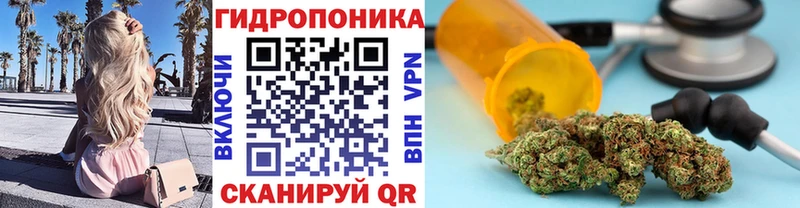 Каннабис OG Kush  Ясногорск 